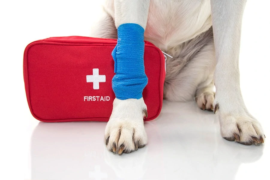 5 Must-Haves for Your Pet First Aid Kit