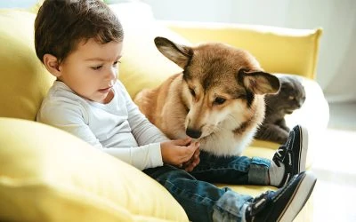 Dogs & Young Children. How to Integrate Them Together