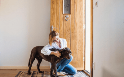 What to Tell Your Pet Sitter BEFORE You Head Out of Indianapolis